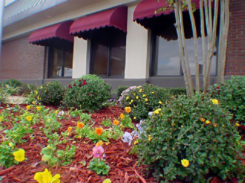 Holiday Inn Jonesboro Ανέσεις φωτογραφία